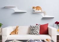 /album/animais-e-tudo-mais-/prateleiras-gatos-jpg/