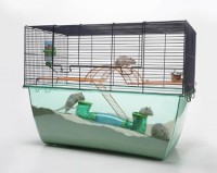 /album/animais-e-tudo-mais-/acessorios-para-hamster-2-jpg/